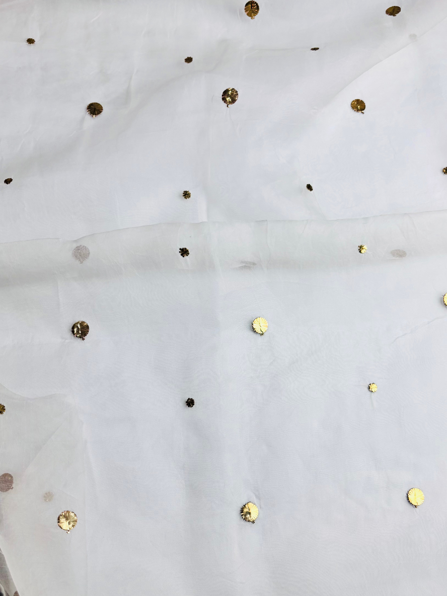 Mukesh | Gota | Loose Organza