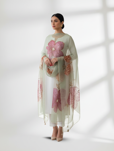 Organza Handwork Shawls