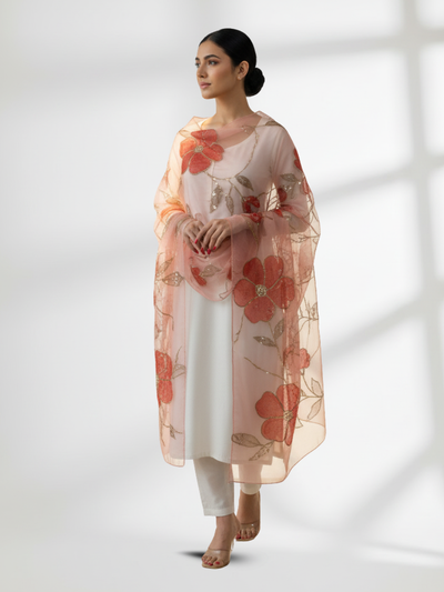 Organza Handwork Shawls